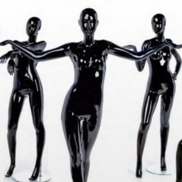 Meet your Posher, Trina - Picture 1 of 1